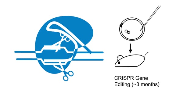 mouseModelCrispr_Facebook_wenningQin_2016_6_20-01.png CRISPR小鼠模型