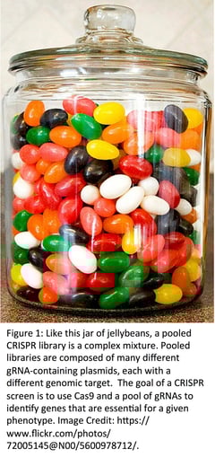 Jar of Jelly Beans Pooled Library Metaphore 就像这罐软糖,一个汇集的CRISPR文库是一个复杂的混合物。