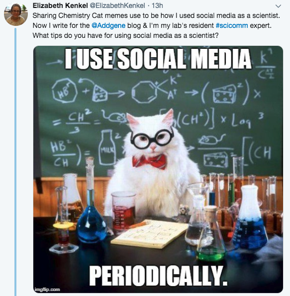 beth_chemisty_cat_twitter