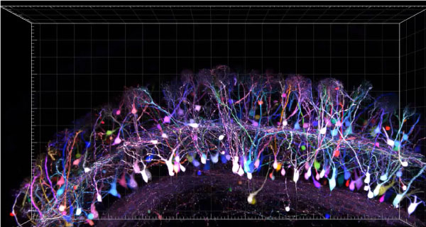 Tetbow-Feature-Image